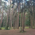Apartment Baltic D5 *
