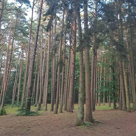 Apartment Baltic D5 *