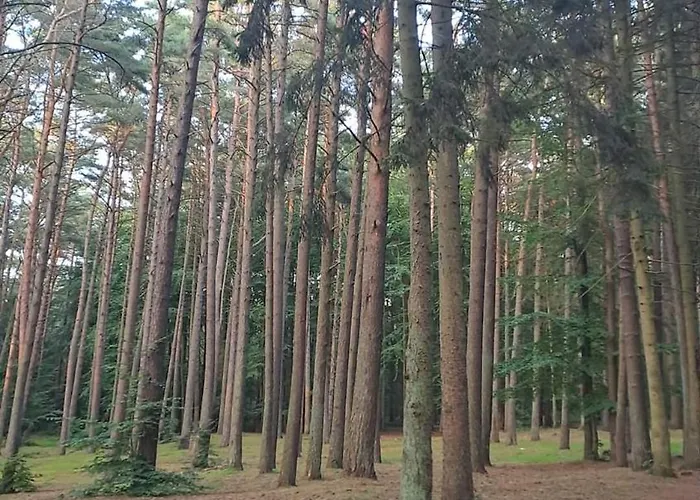 Appartement Baltic D5 *